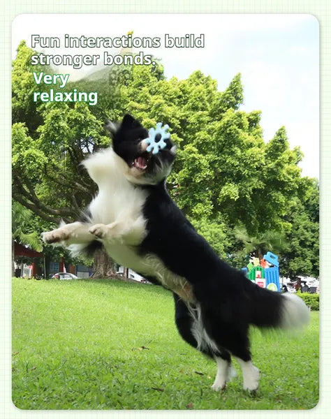Soft Silicone Flying Ring — Fetch & Bite Dog Toy