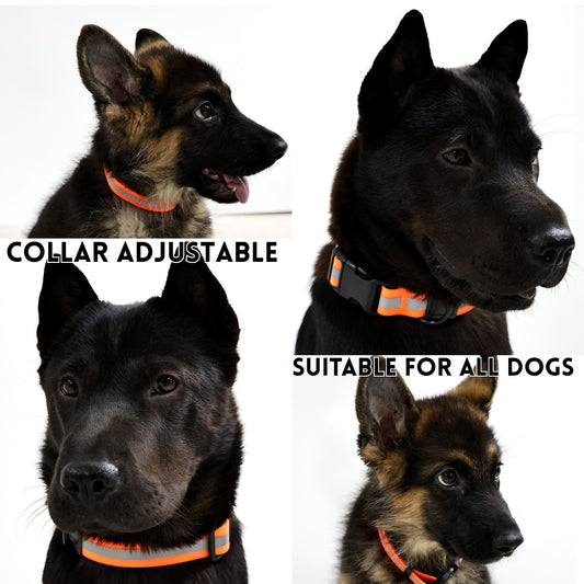 Reflective Waterproof Dog Leash — 5ft Heavy Duty