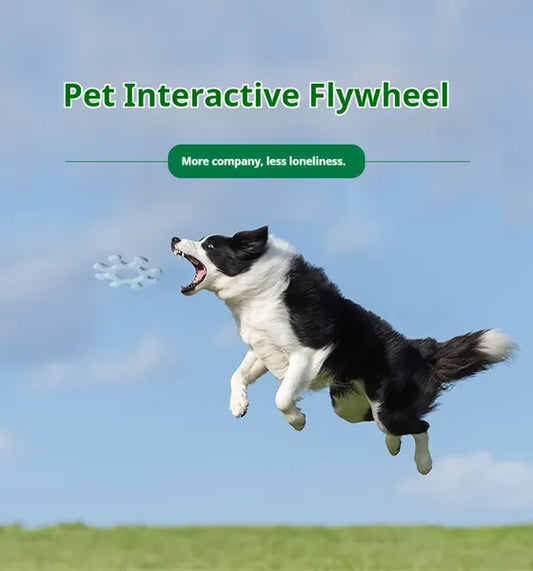 Soft Silicone Flying Ring — Fetch & Bite Dog Toy