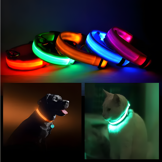 LED Light-Up Pet Collar — USB Rechargeable Safety