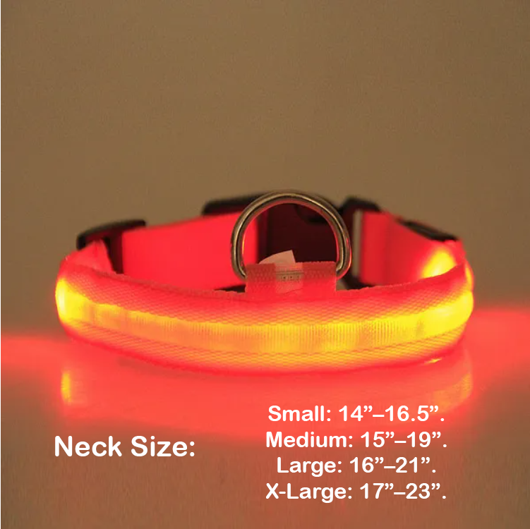 LED Light-Up Pet Collar — USB Rechargeable Safety