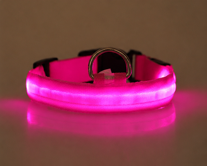 LED Light-Up Pet Collar — USB Rechargeable Safety