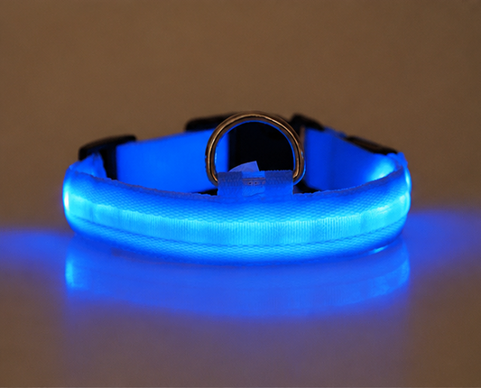 LED Light-Up Pet Collar — USB Rechargeable Safety