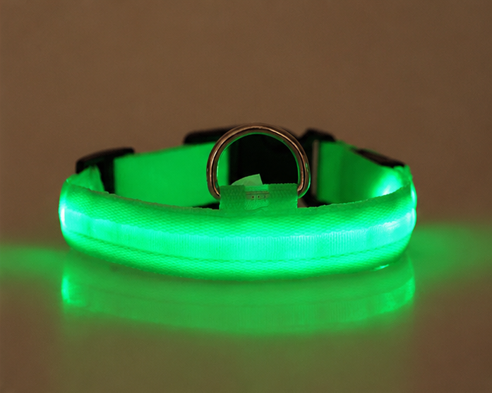 LED Light-Up Pet Collar — USB Rechargeable Safety