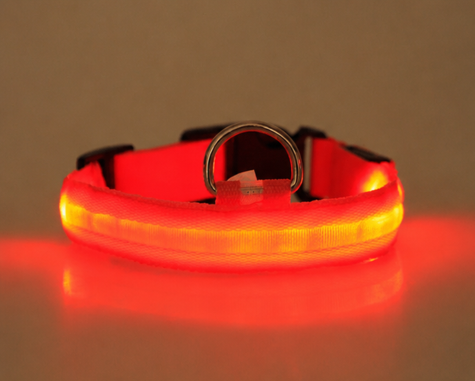 LED Light-Up Pet Collar — USB Rechargeable Safety