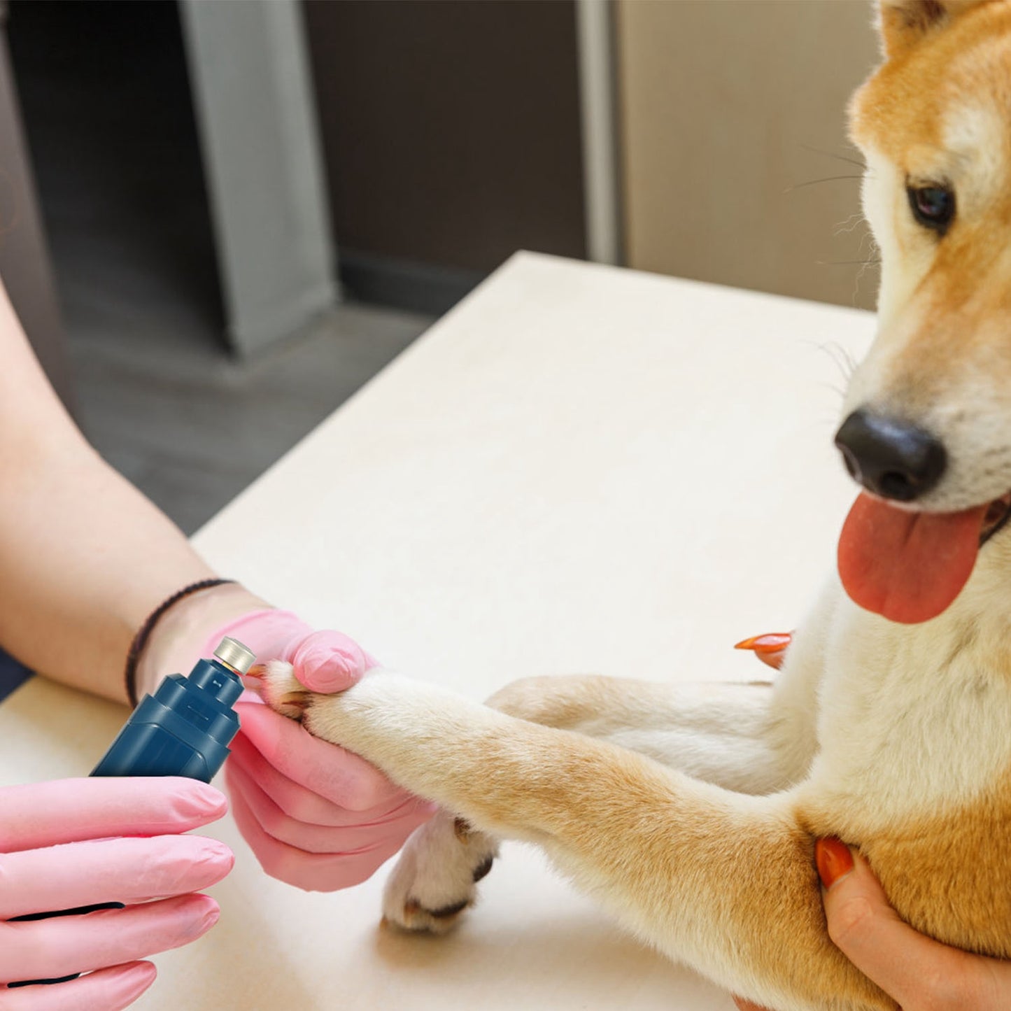 Quiet Pet Nail Grinder — 3-Port USB Rechargeable